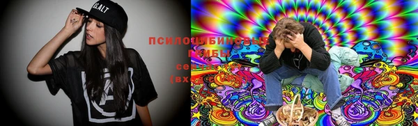 крисы Костерёво